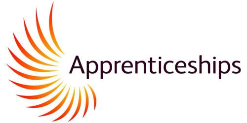 Apprenticeships logo orange burst 